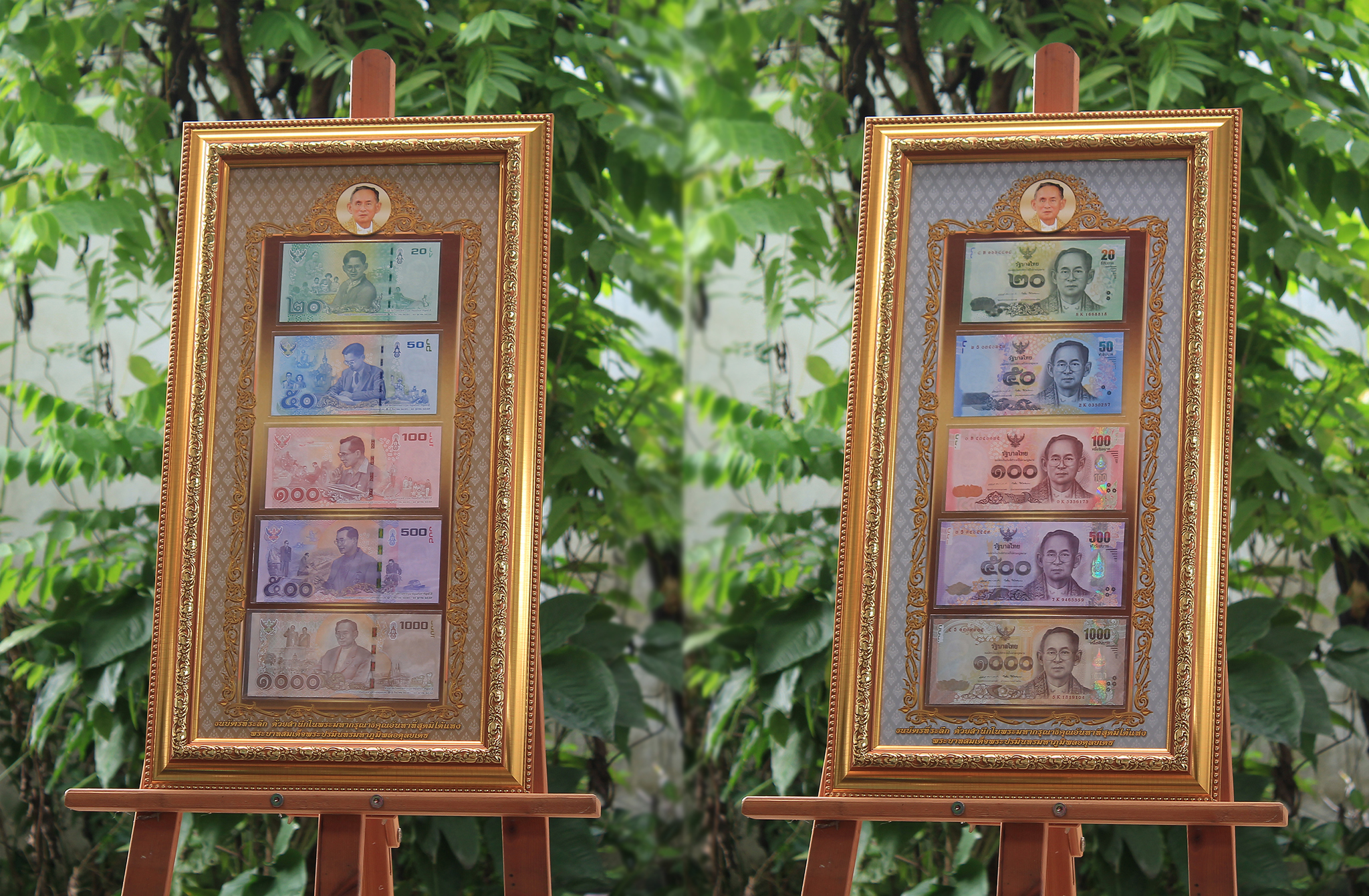 กรอบรูปใส่แบงค์ 6 ใบ ใส่ธนบัตร 5 ใบ