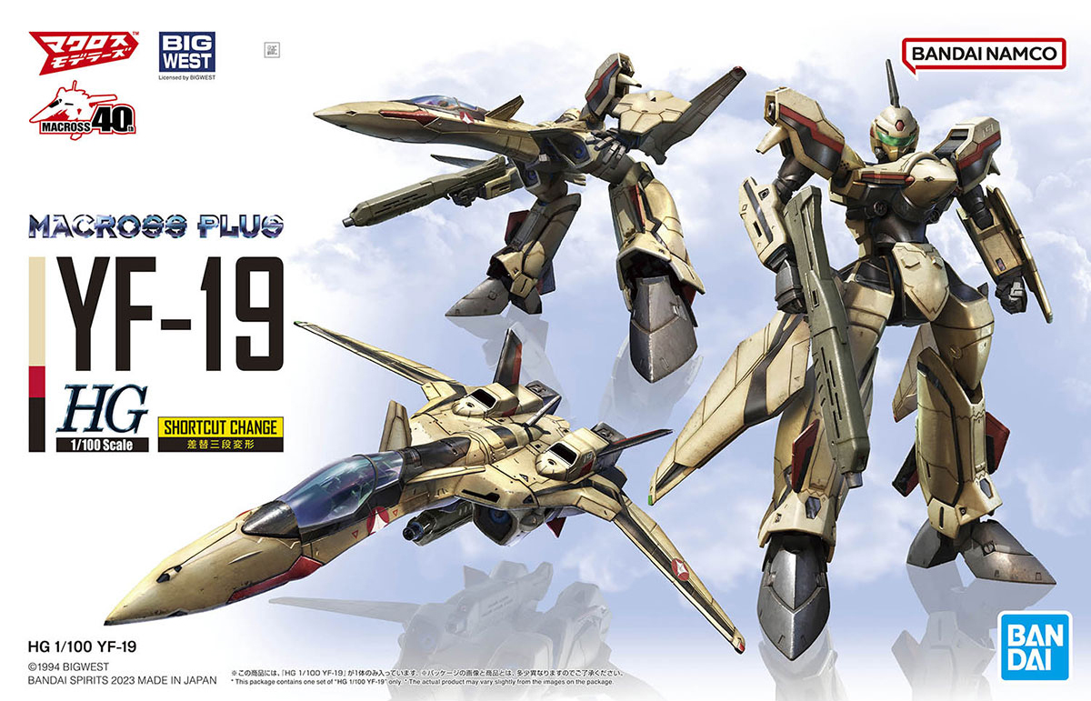 HG1/100 Macross Plug YF-19