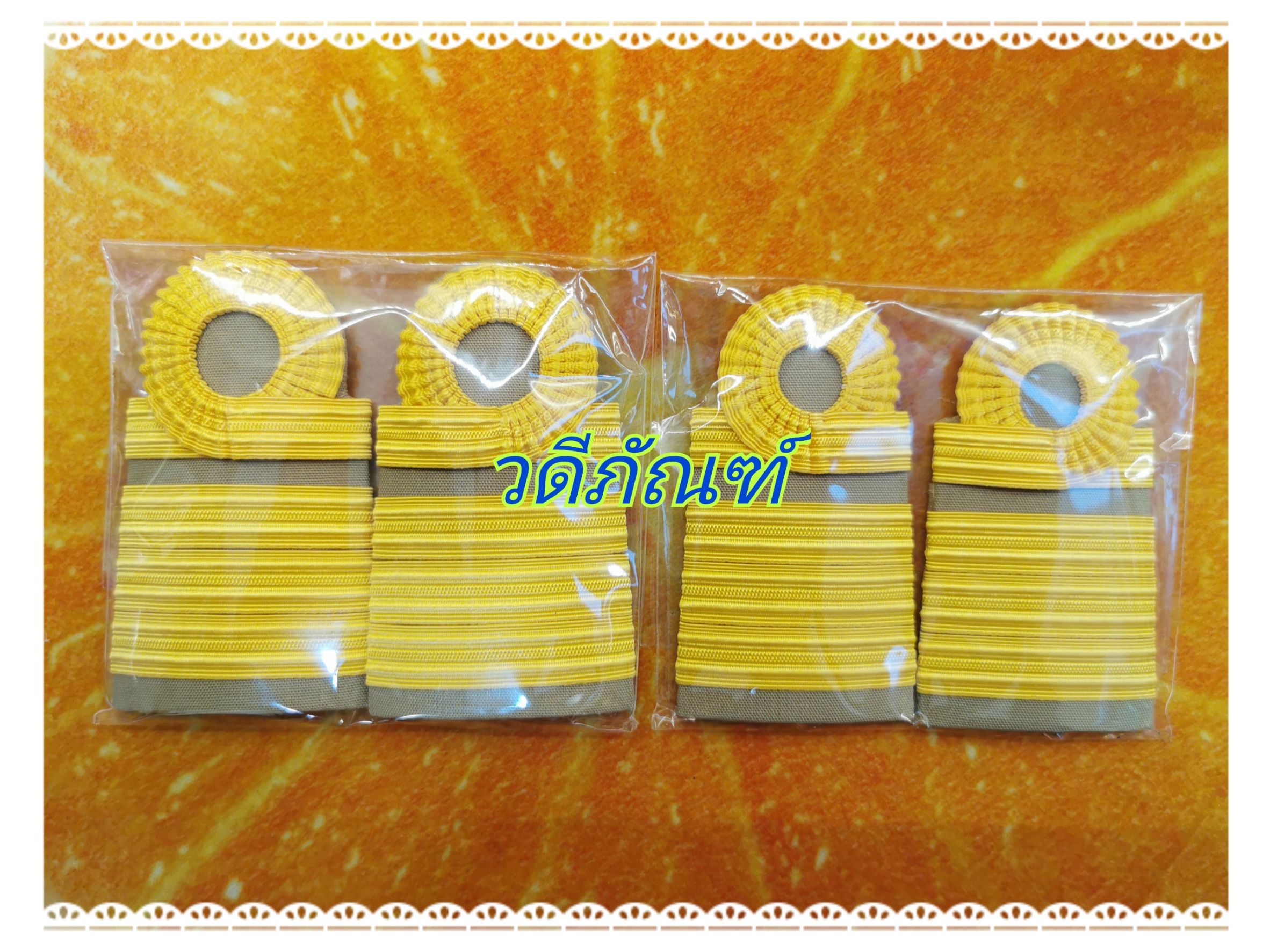 บ่าชุดกากี (ชำนาญการ,ชำนาญการพิเศษ) C7-8