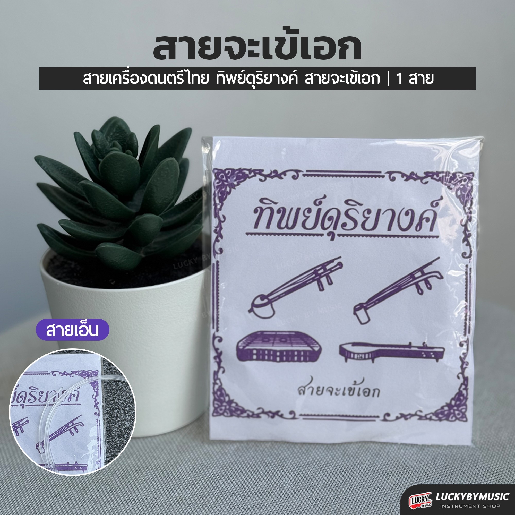 สายจะเข้ เอก ทุ้ม ลวด สายคุณภาพ ขนาดมาตรฐาน เสียงใส เลือกซื้อ แยก หรือ ครบชุด ได้