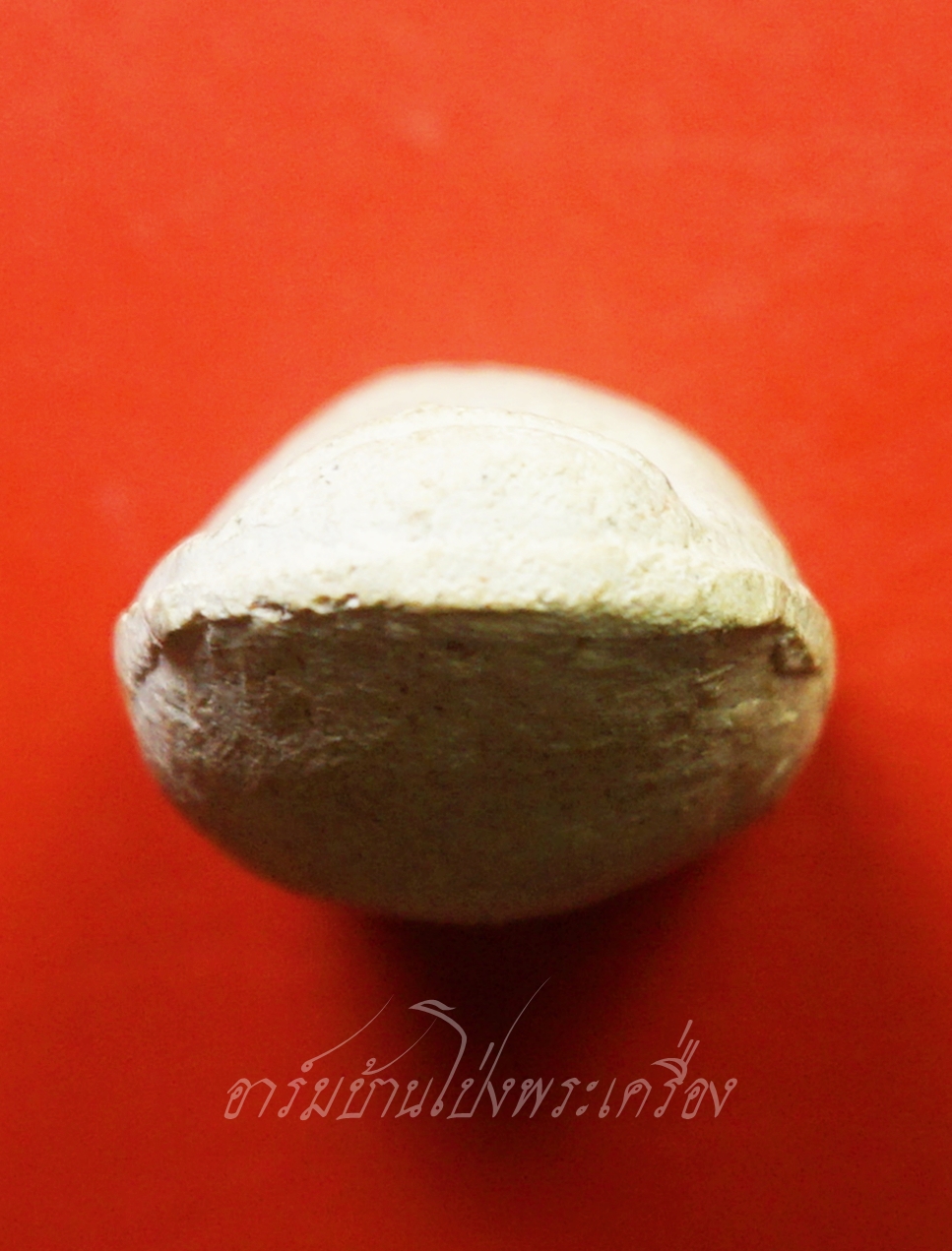 หลวงพ่อคูณ วัดบ้านไร่ นิ้วโป้งจำลอง ลงอักขระยันต์ ปี๒๕๓๖ เนื้อผง(องค์ที่10)