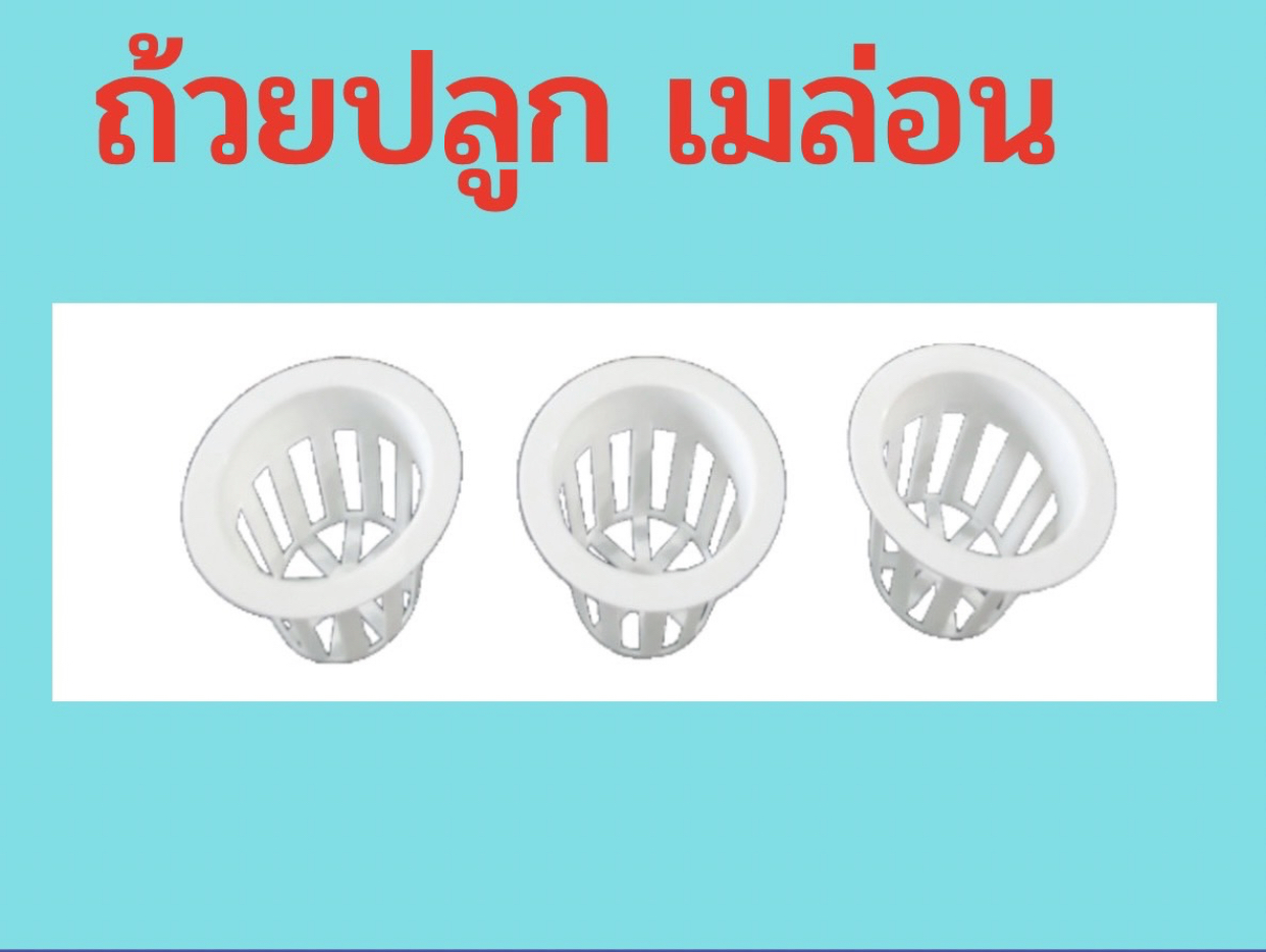 ถ้วยปลูก เมล่อน