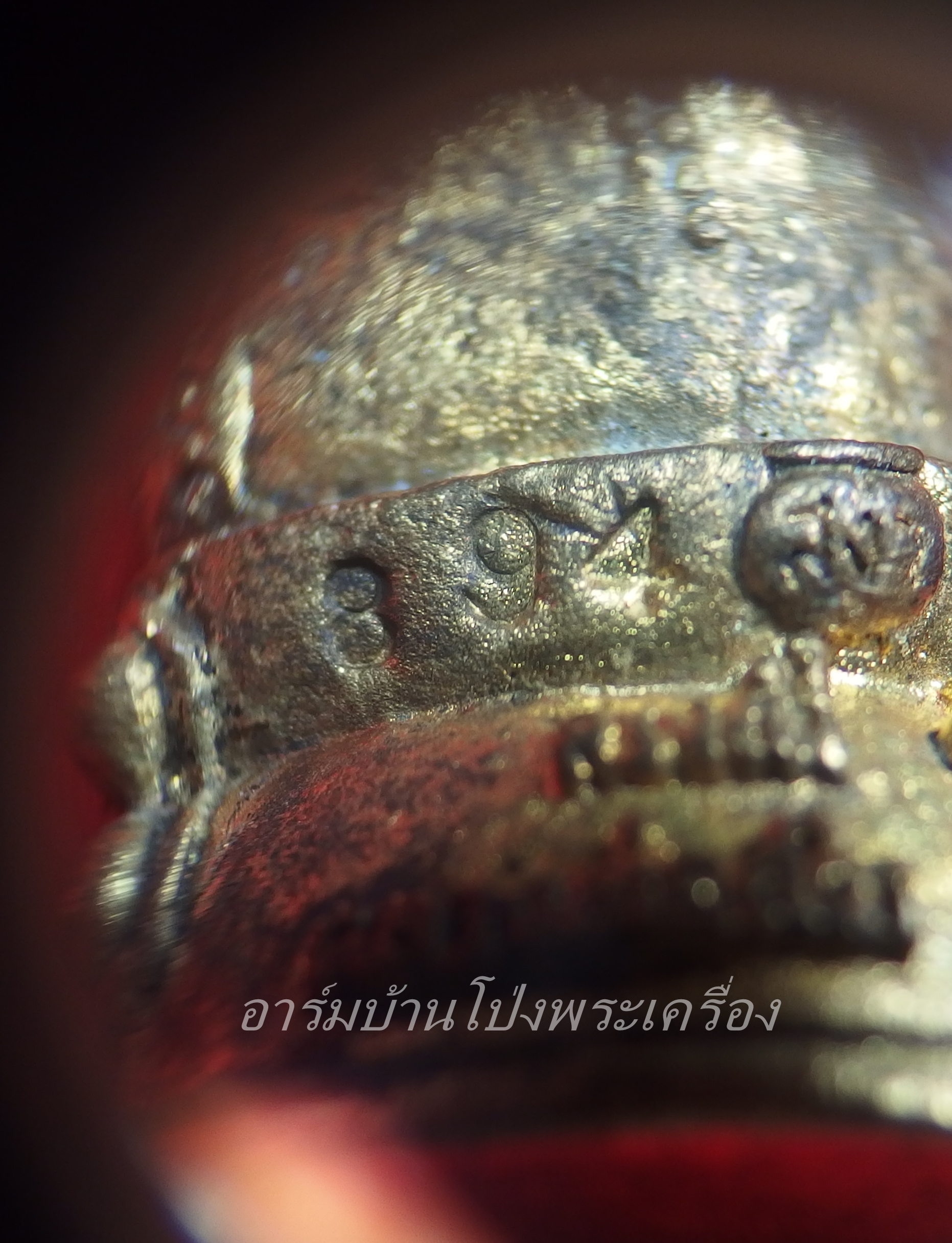 หลวงพ่อสง่า วัดบ้านหม้อ เนื้อทองทิพย์ พระกริ่ง รุ่นชนะใจ อายุ๘๖ปี หมายเลข894 พร้อมกล่องเดิม(องค์ที่1)