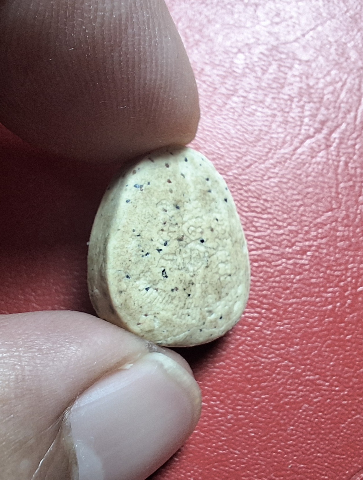 หลวงปู่แผ้ว วัดกำแพงแสน พระผงปิดตาจิ๋ว ออกงานปิดทอง ปี๒๕๕๐ เนื้อผงสีขาว ฝังตะกรุด(องค์ที่5)