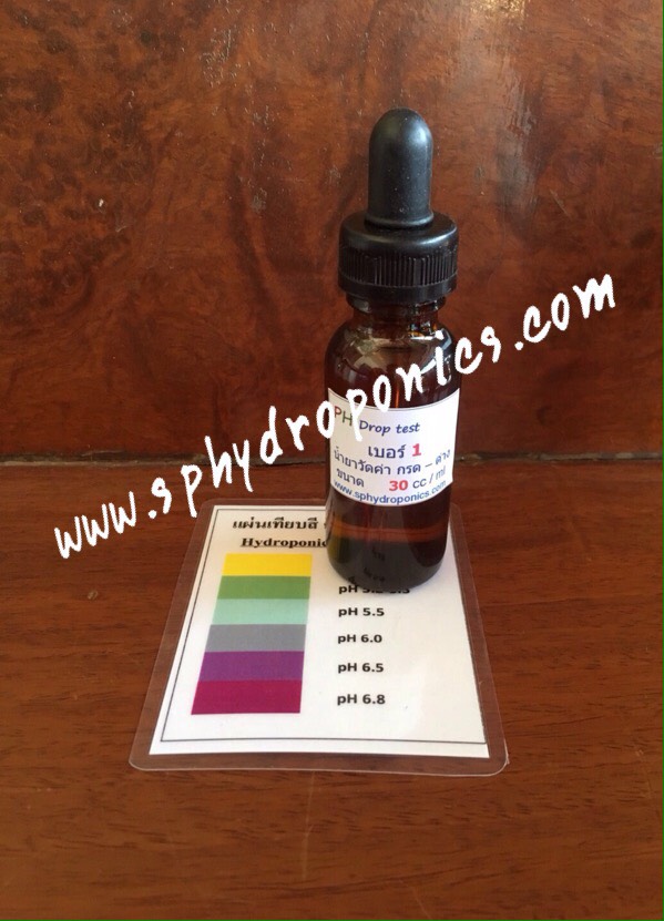 น้ำยาวัด กรด-ด่าง (Ph drop Test) เบอร์ 1 ขนาด 30 ml