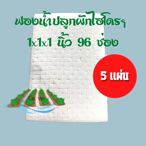 ฟองน้ำเพาะเมล็ด แบบละเอียด 5 แผ่น
