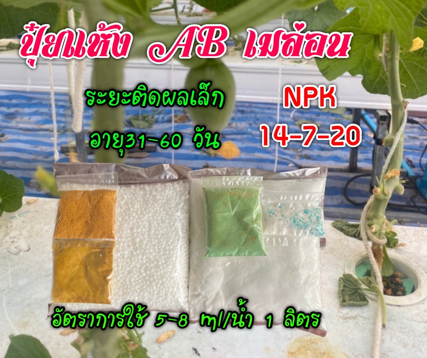 ปุ๋ย A/B เมล่อน set สูตร 2 ชุด 10 ลิตร (ช่วงขยายผล เล็ก)