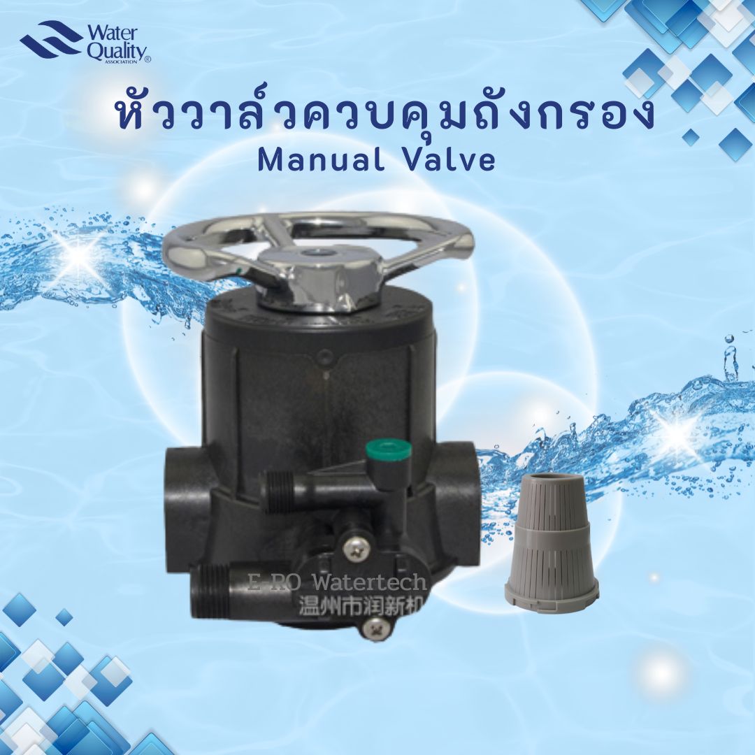 หัววาล์วควบคุมแบบ Manual เรซิ่น คอ 2.5" - F64A