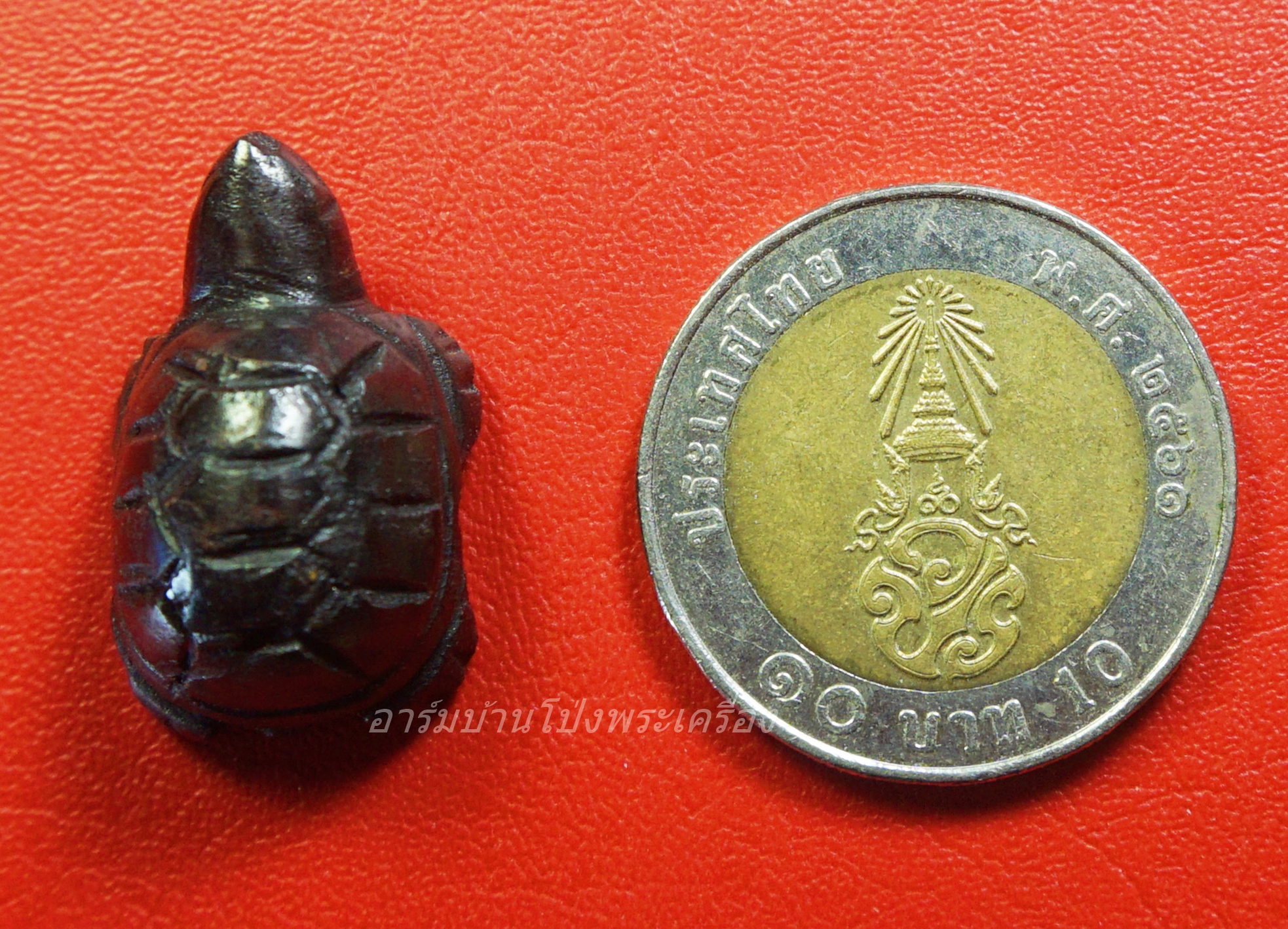 หลวงพ่ออุทัย วัดเกาะตาพุด เต่าแกะ จากโครตเหล็กไหลเขาอึมครึม(องค์ที่3)