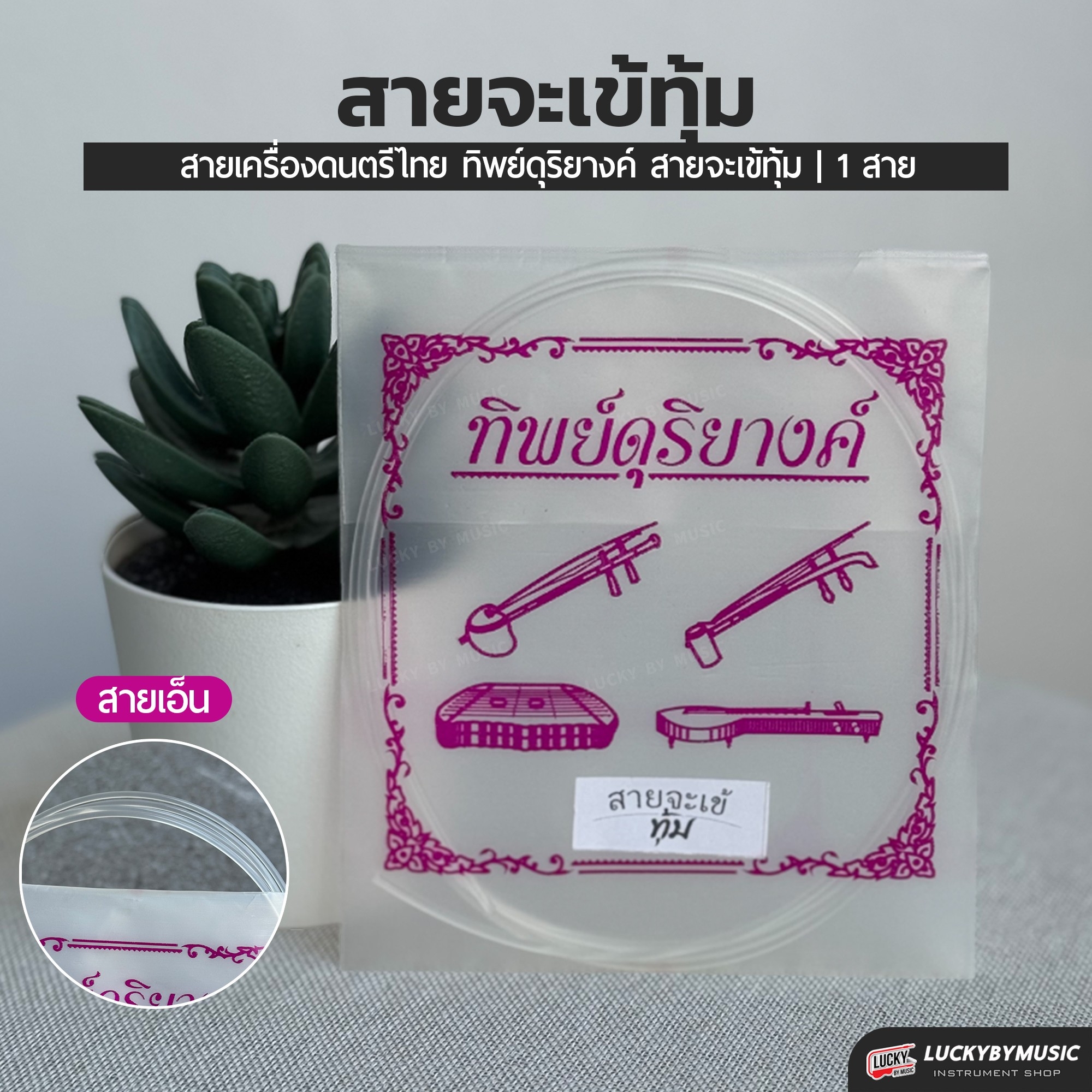 สายจะเข้ เอก ทุ้ม ลวด สายคุณภาพ ขนาดมาตรฐาน เสียงใส เลือกซื้อ แยก หรือ ครบชุด ได้