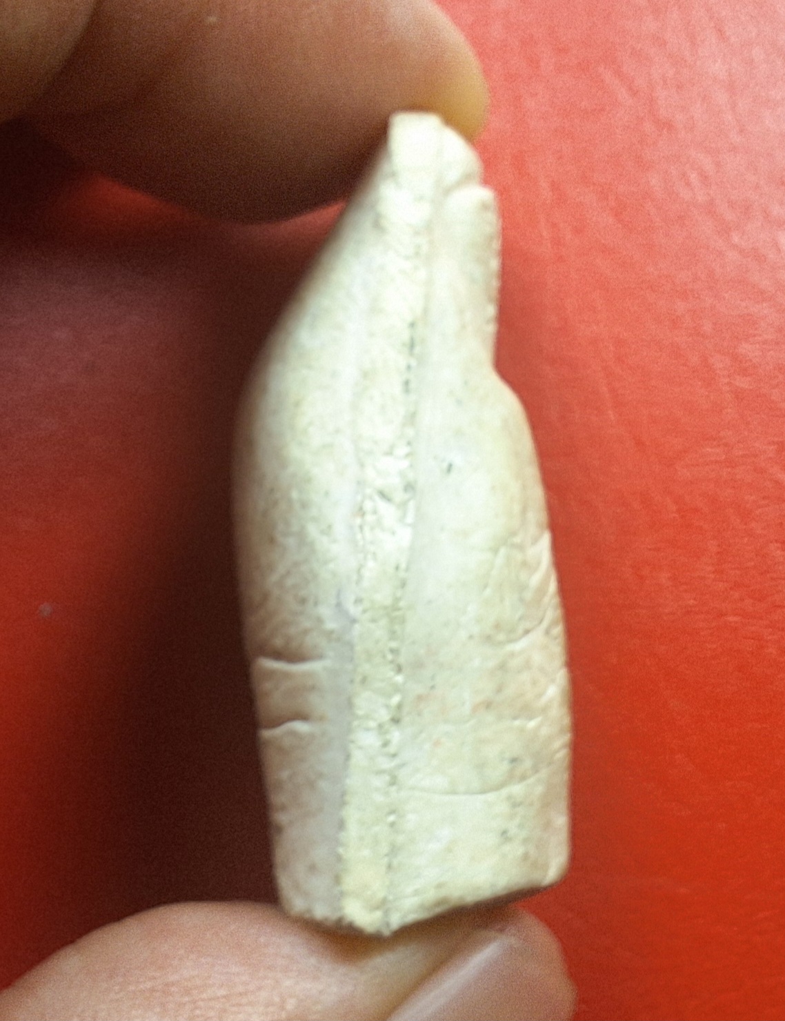 หลวงพ่อคูณ วัดบ้านไร่ นิ้วโป้งจำลอง ลงอักขระยันต์ ปี๒๕๓๖ เนื้อผง(องค์ที่17)