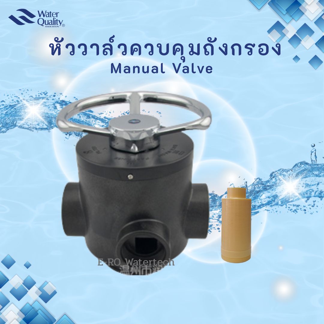 Manual Filter Valve 4" - F56D