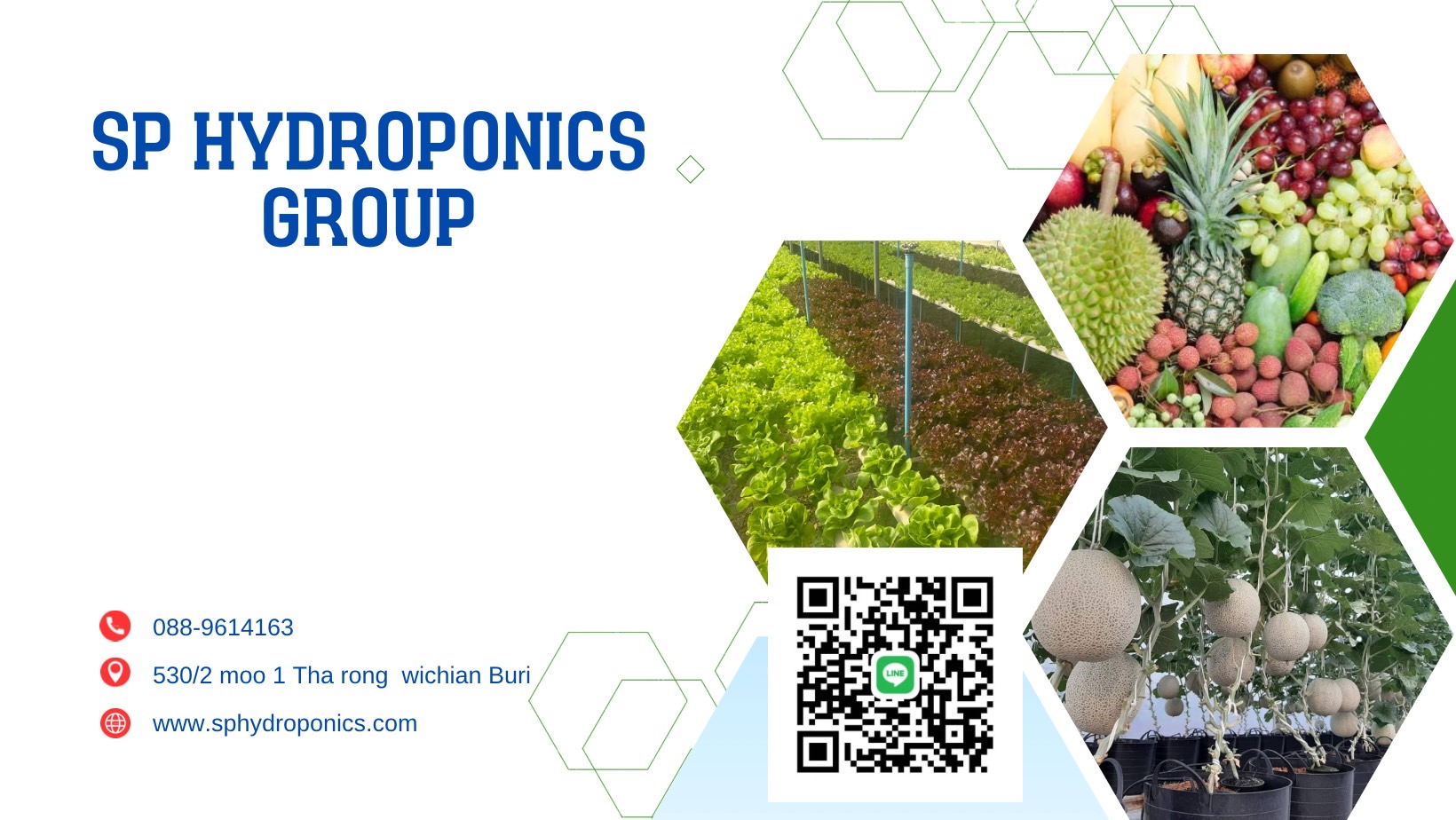 SP Hydroponic