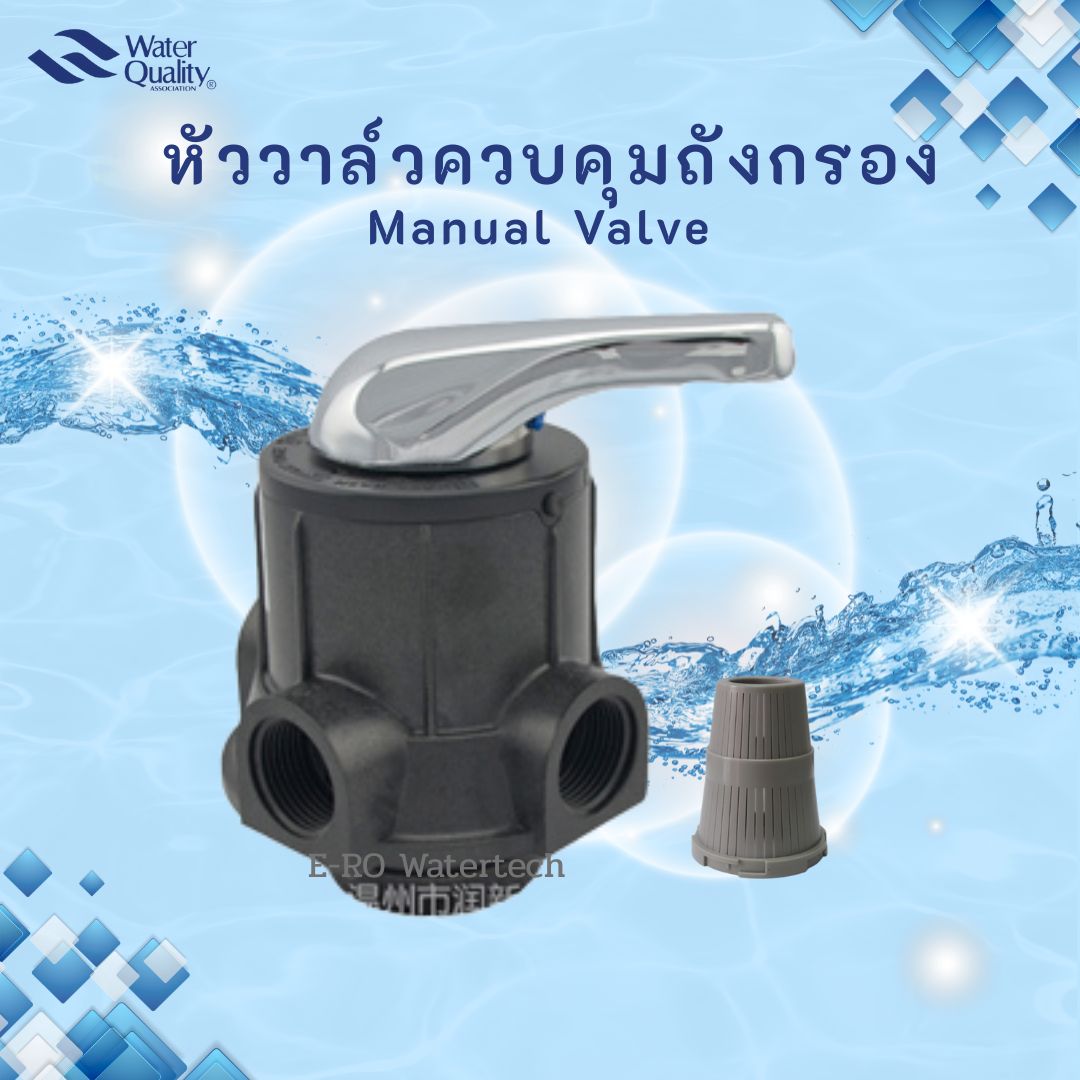 หัววาล์วควบคุมแบบ Manual คาร์บอน คอ 2.5" - F56A