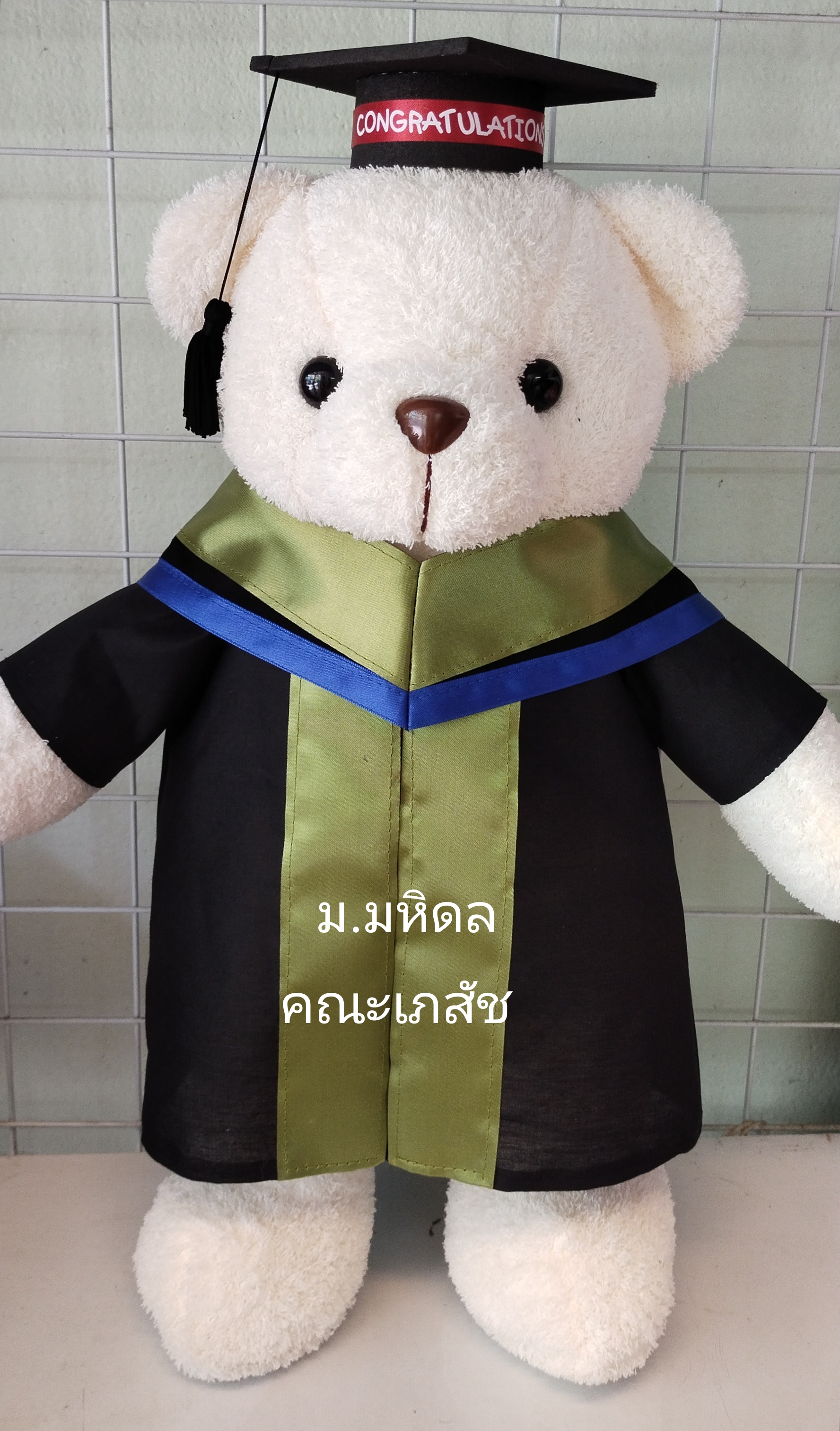 หมีรับปริญญาม.มหิดล ขนาด 45cm