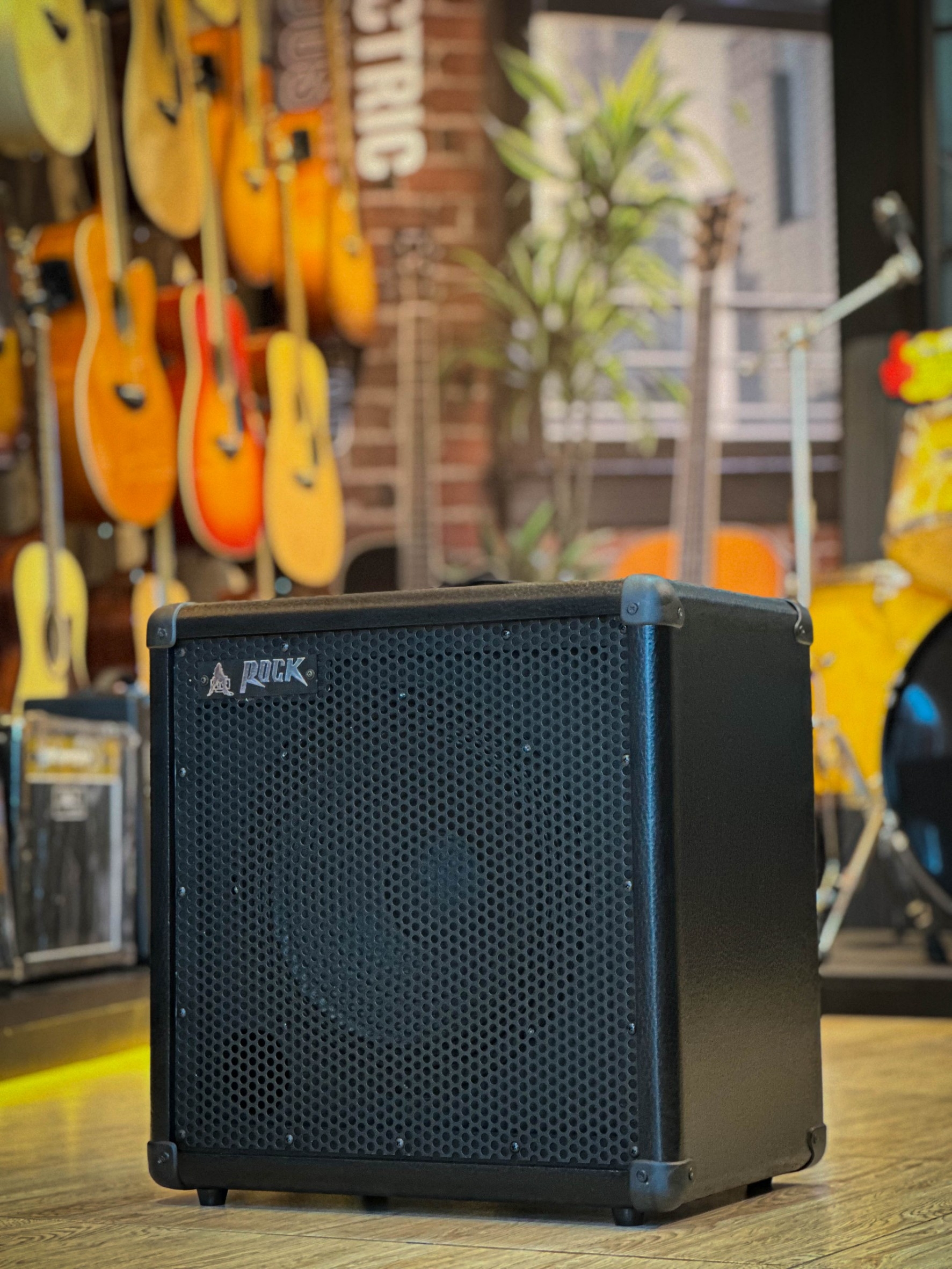 แอมป์อเนกประสงค์ Rock รุ่น BA-812 Input 2 ช่อง 100 วัตต์ ใช้งานได้กับ กีต้าร์โปร่ง ไฟฟ้า เบส ตู้แอมป์ ดอกลำโพง 12 นิ้ว