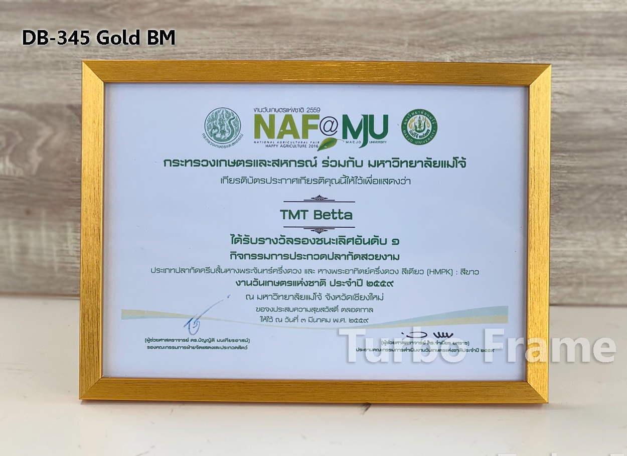 กรอบรูปใส่ใบประกาศ กรอบขนาดA4 DB345 Gold