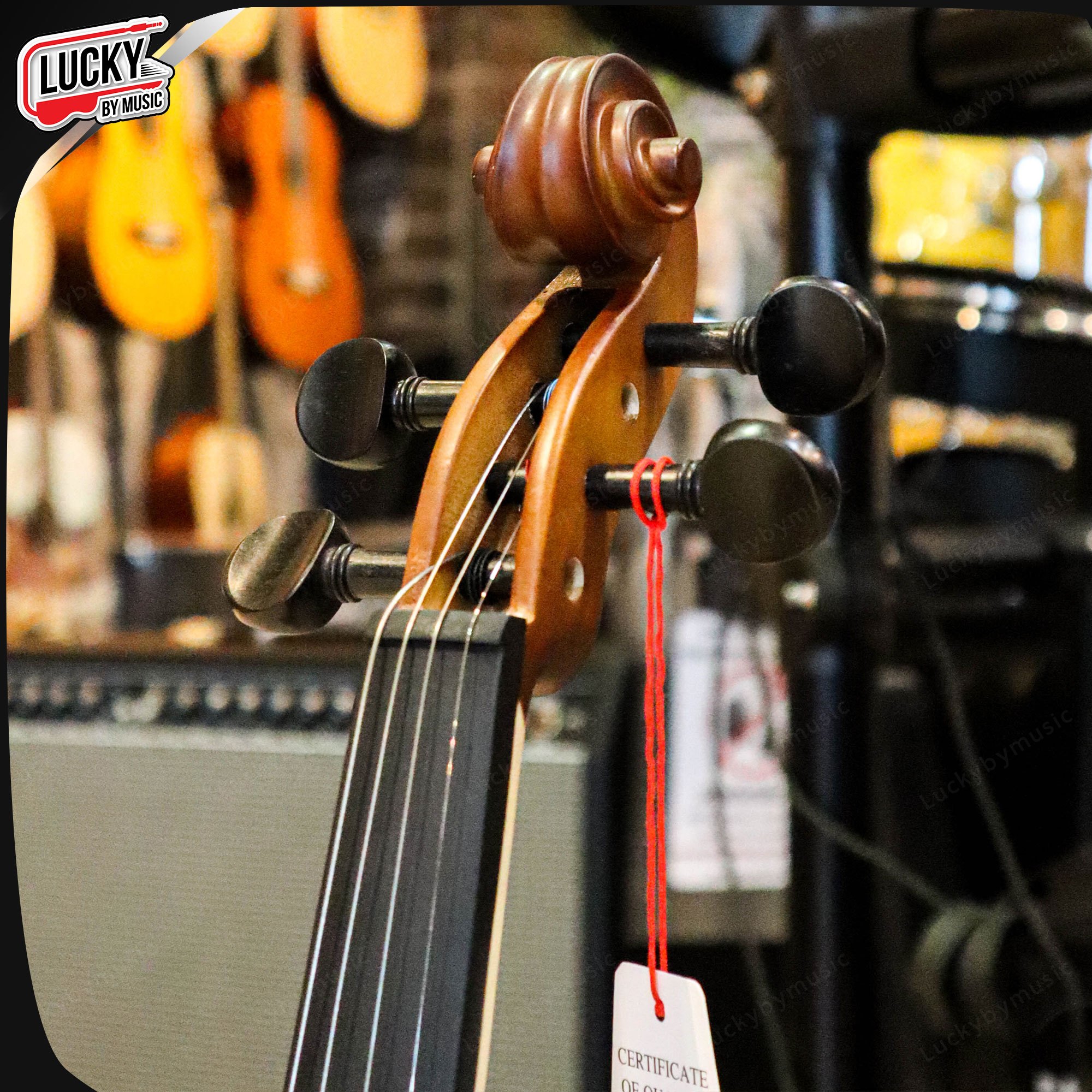 Fortis MVM012L ไวโอลิน ขนาด 4/4 ไม้สปรู้ซแท้ เคลือบด้านอย่างดี สวยงาม อะไหล่ทำจากไม้ฮาร์ดวู๊ด แถมฟรี กระเป๋า