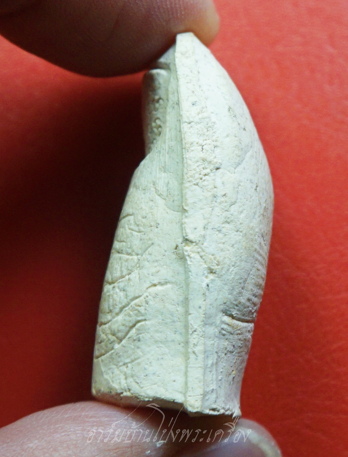 หลวงพ่อคูณ วัดบ้านไร่ นิ้วโป้งจำลอง ลงอักขระยันต์ ปี๒๕๓๖ เนื้อผง(องค์ที่15)