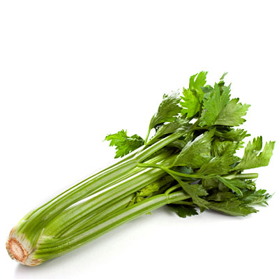 เมล็ดคื่นช่ายยักษ์ (Celery) 100-200 เมล็ด