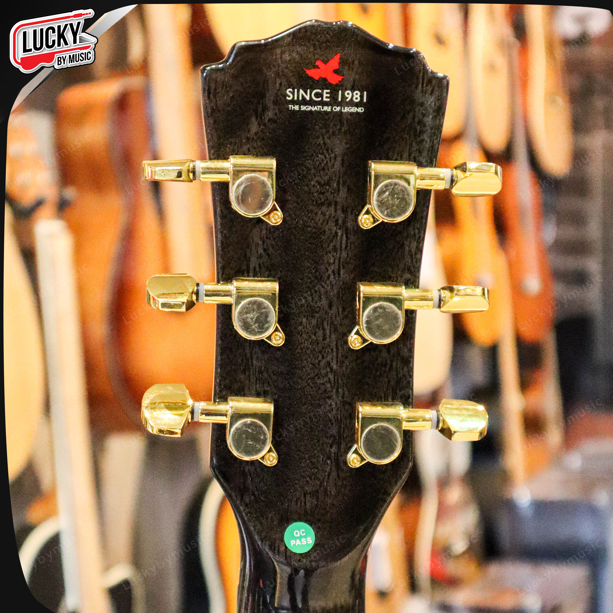 กีตาร์โปร่ง คาราบาว Carabao รุ่น CG40 BLK ทรงเต็ม เสียงเปิด กังวาน แถมฟรี ปิ๊ก4อัน ประแจ คู่มือ