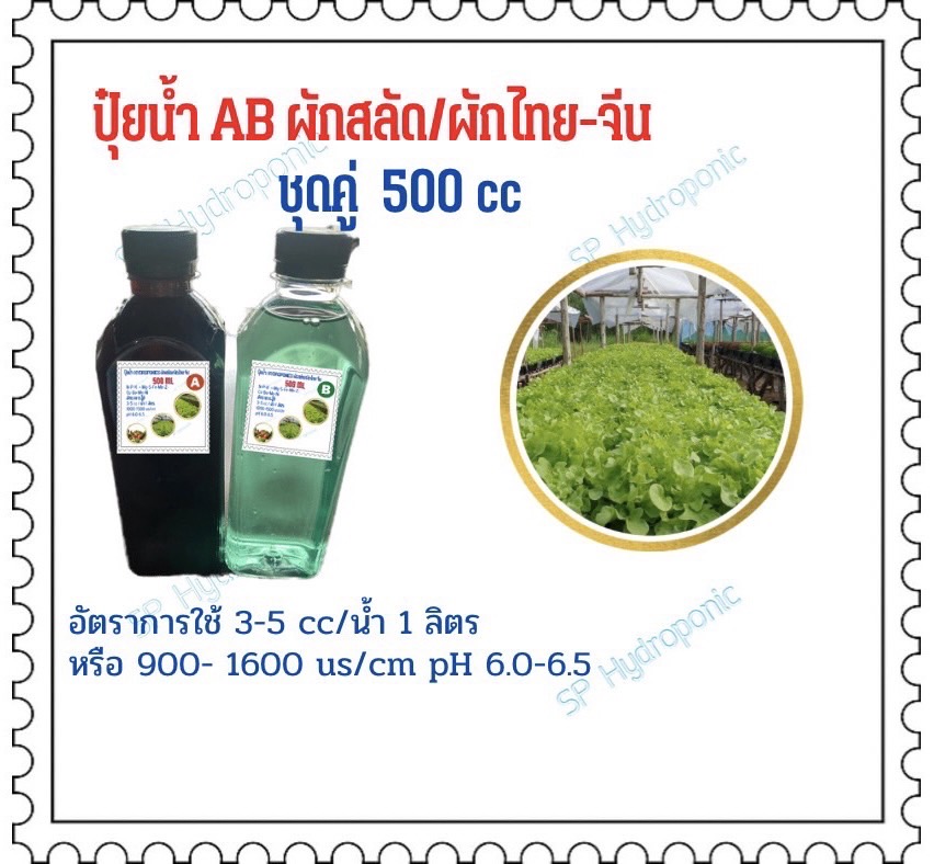 ปุ๋ยน้ำ A/B ผักสลัด ขนาด 500 ซีซีแถมไซริงค์ 10 cc 1 อัน