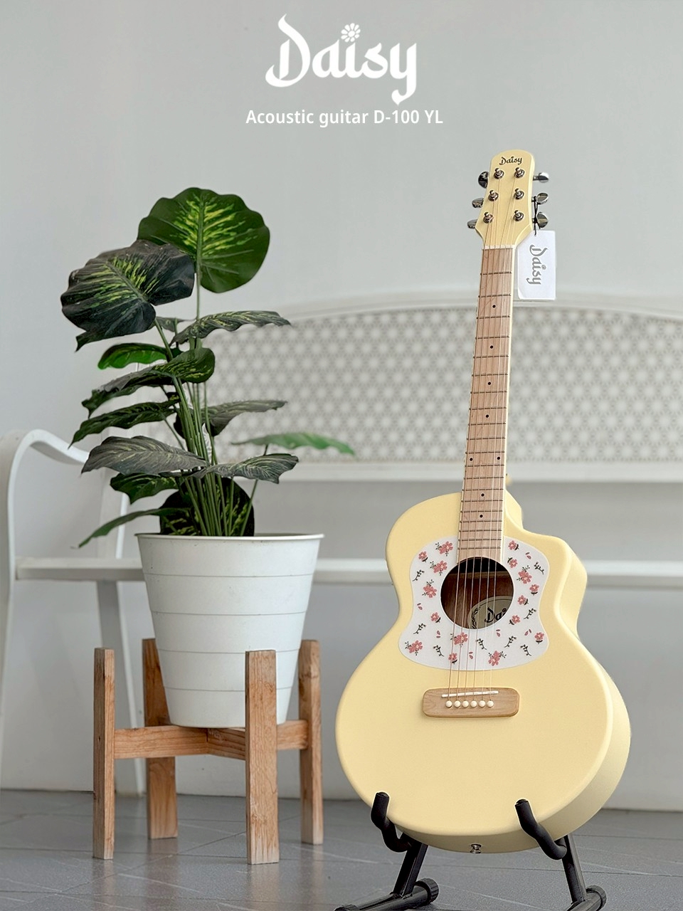 Daisy กีตาร์โปร่ง รุ่น D-100 ขนาด 36 นิ้ว ปิ๊กการ์ดลายดอกไม้ พร้อม ปิ๊ก4อัน คู่มือ