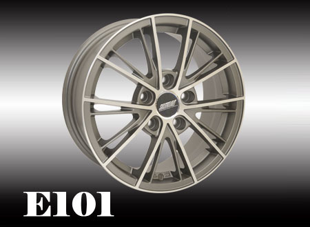 ssw e101