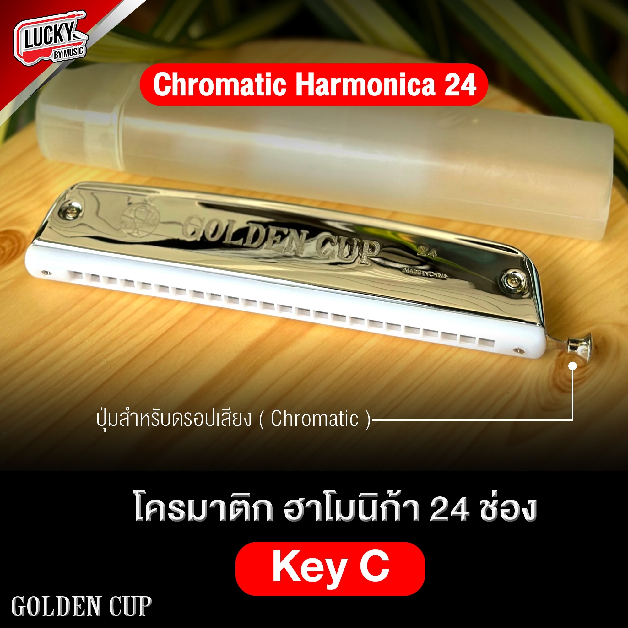 Golden Cup ฮาร์โมนิก้า 24 ช่อง คีย์ C แบบกดปรับเสียงได้ เมาท์ออแกน (24 Double Holes Harmonica) + ฟรี กล่องพลาสติก