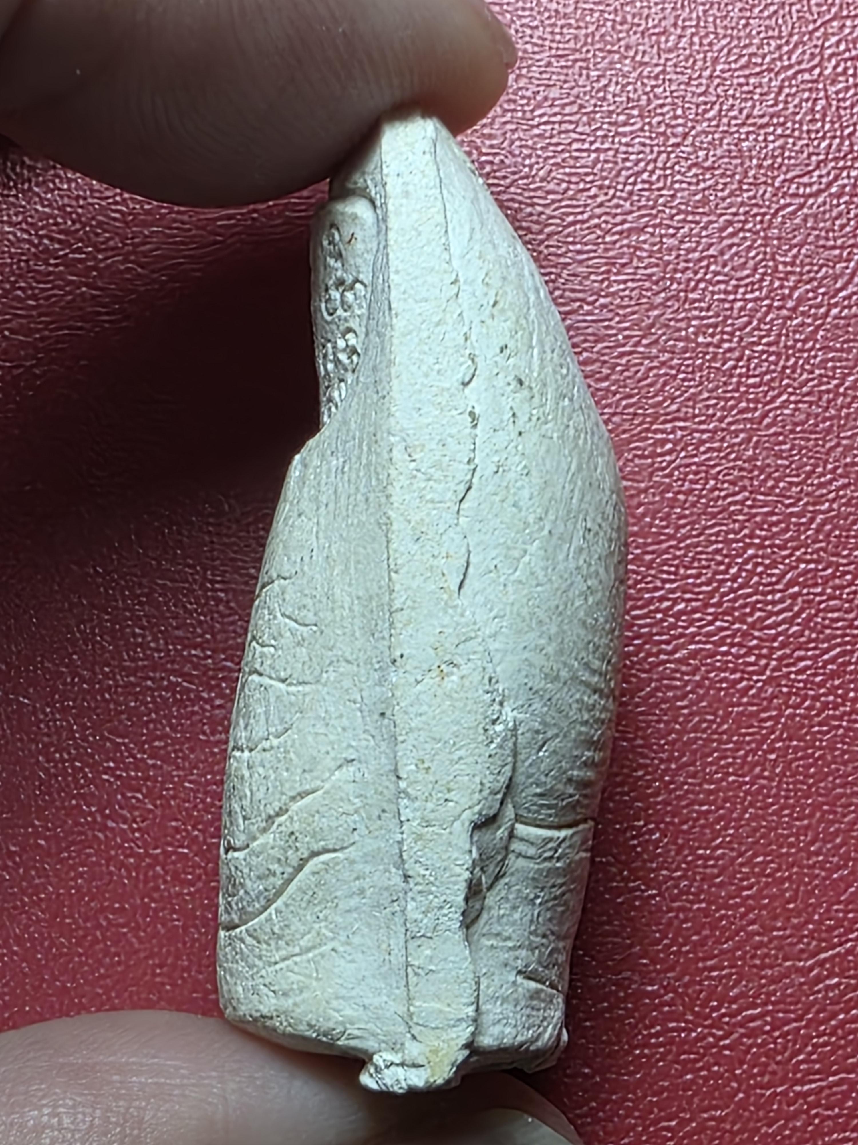 หลวงพ่อคูณ วัดบ้านไร่ นิ้วโป้งจำลอง ลงอักขระยันต์ ปี๒๕๓๖ เนื้อผง(องค์ที่18)