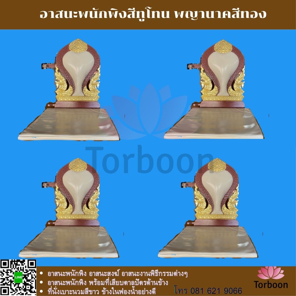 อาสนะพนักพิง พร้อมเสียบตาลปัตร ทูโทน