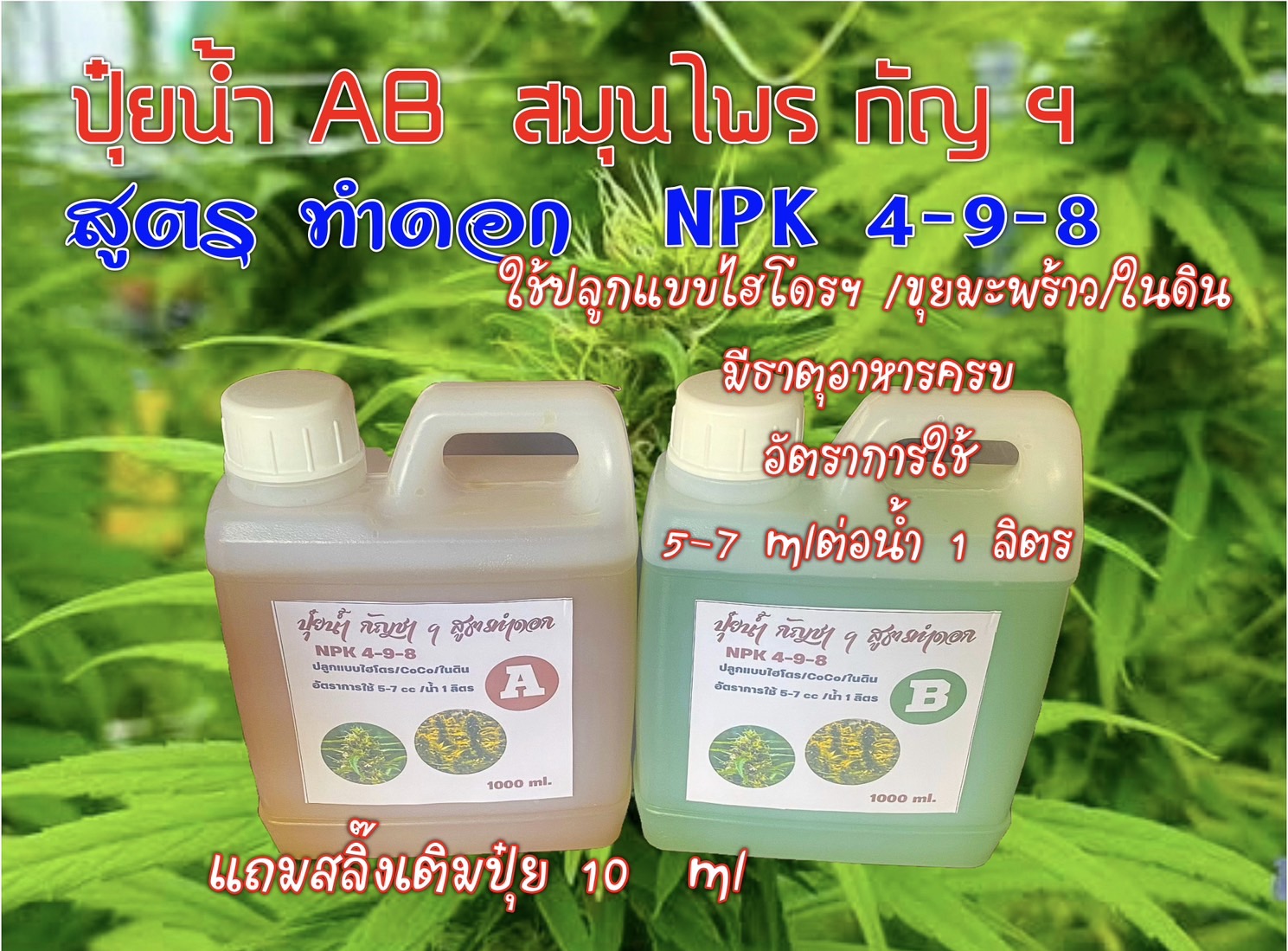 ปุ๋ยน้ำ AB กัญชา ฯ สูตร ทำดอก 4-9-8 ชุดคู่ 1 ลิตร แถมไซริงค์ 10 cc