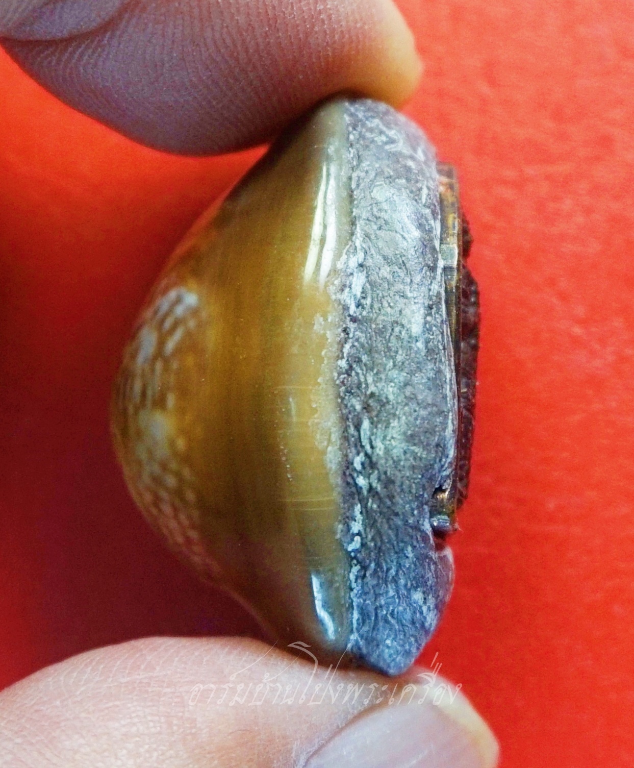 หลวงพ่อวิรัช วัดดีบอน เบี้ยแก้ หลังท้าวเวสสุวรรณ ตอกโค๊ตและมีจาร(องค์ที่1)