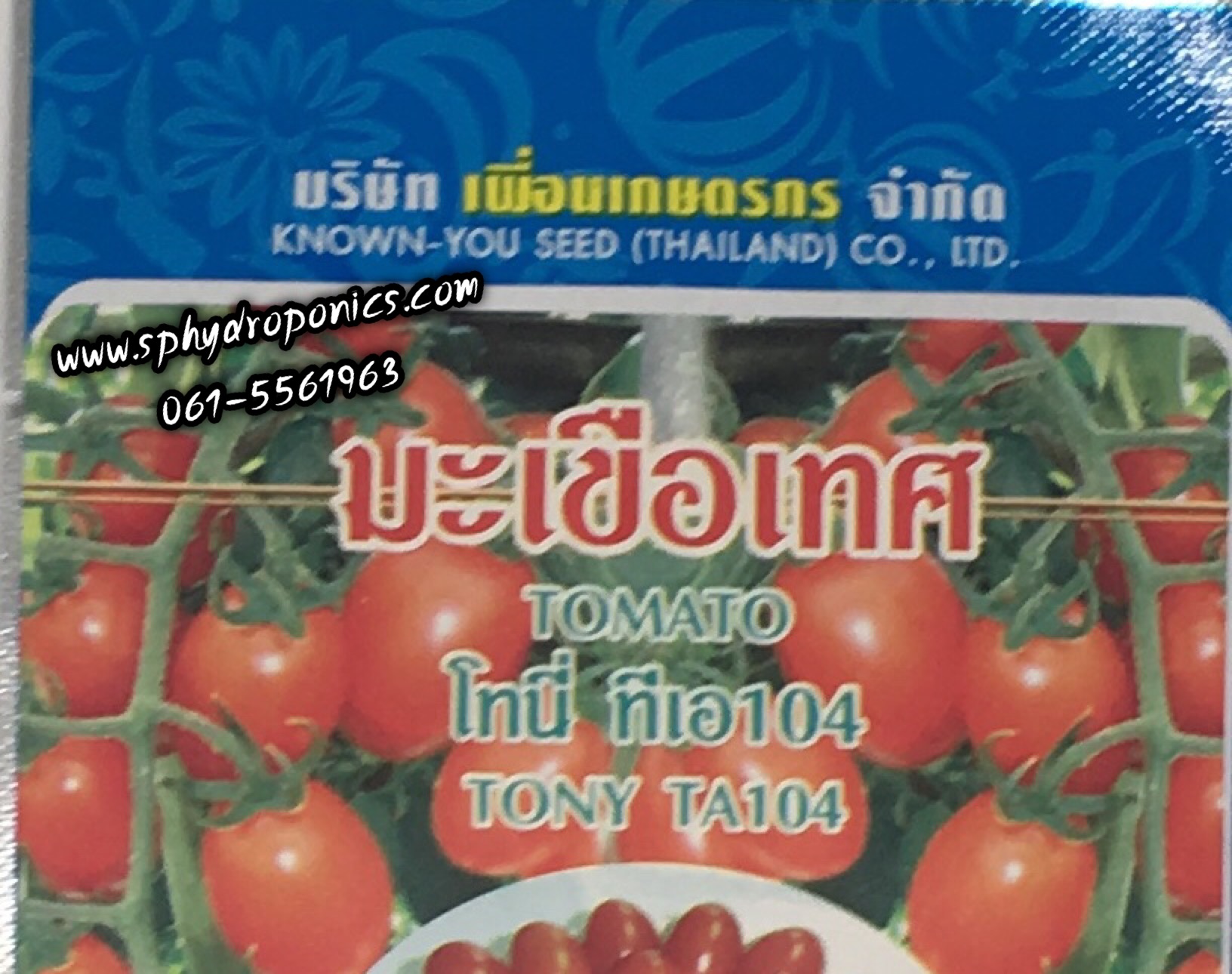 เมล็ดมะเขือเทศราชินี โทนี่ (ทีเอ 104) 30 เมล็ด