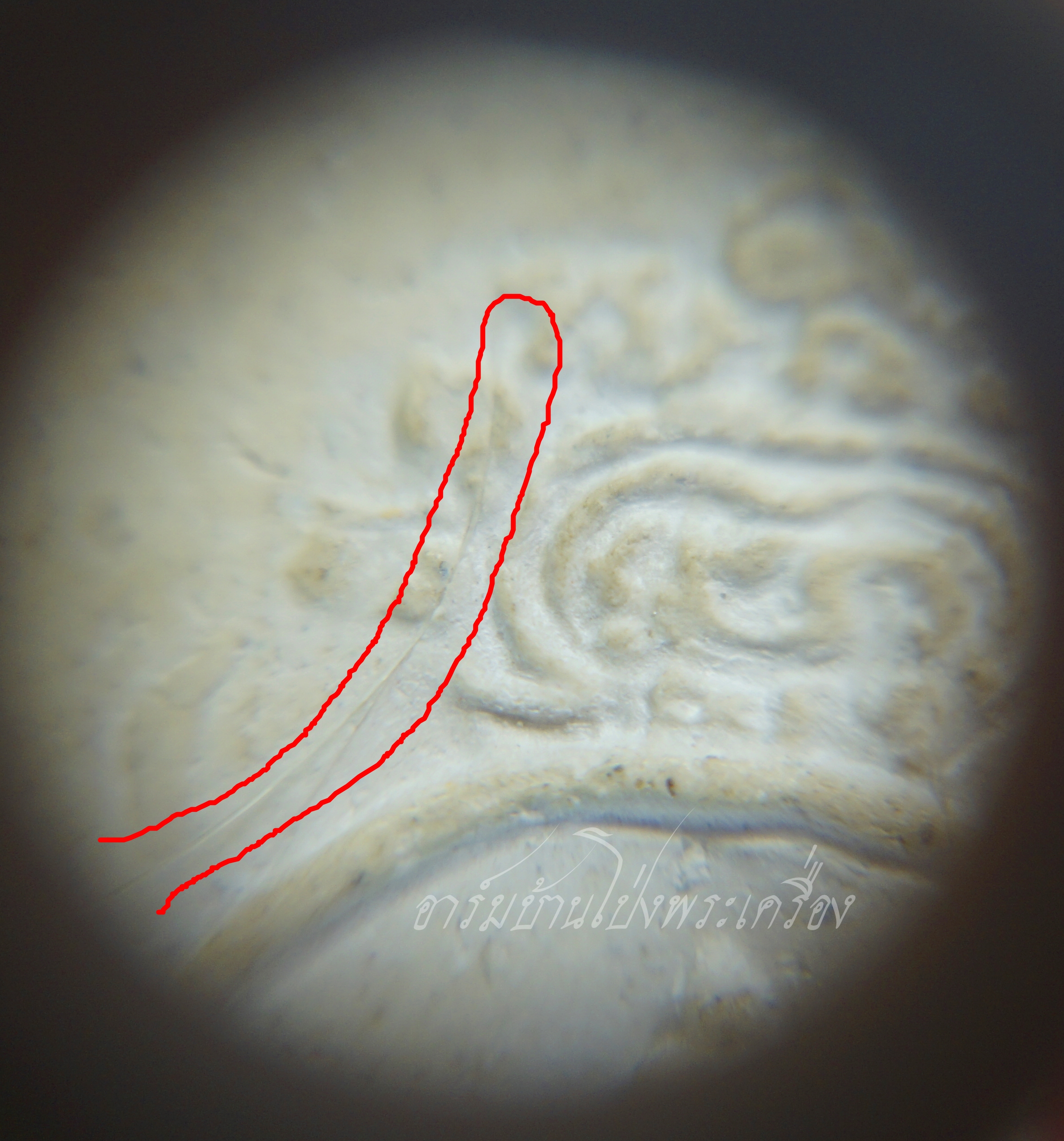 หลวงปู่แย้ม วัดสามง่าม พิมพ์รูปเหมือนเนื้อผง หลังกุมารทอง มีส่วนผสมของผงพระเก่าชำรุด, ผงวิเศษ, พุทธคุณต่างๆ รวมถึงเกศาของหลวงปู่แย้ม อีกทั้งด้านหลังเป็นรูปกุมารทองอีก ครบเครื่องทั้งด้านทำมา หากิน ป้องกันเตือนภัย(องค์ที่1)