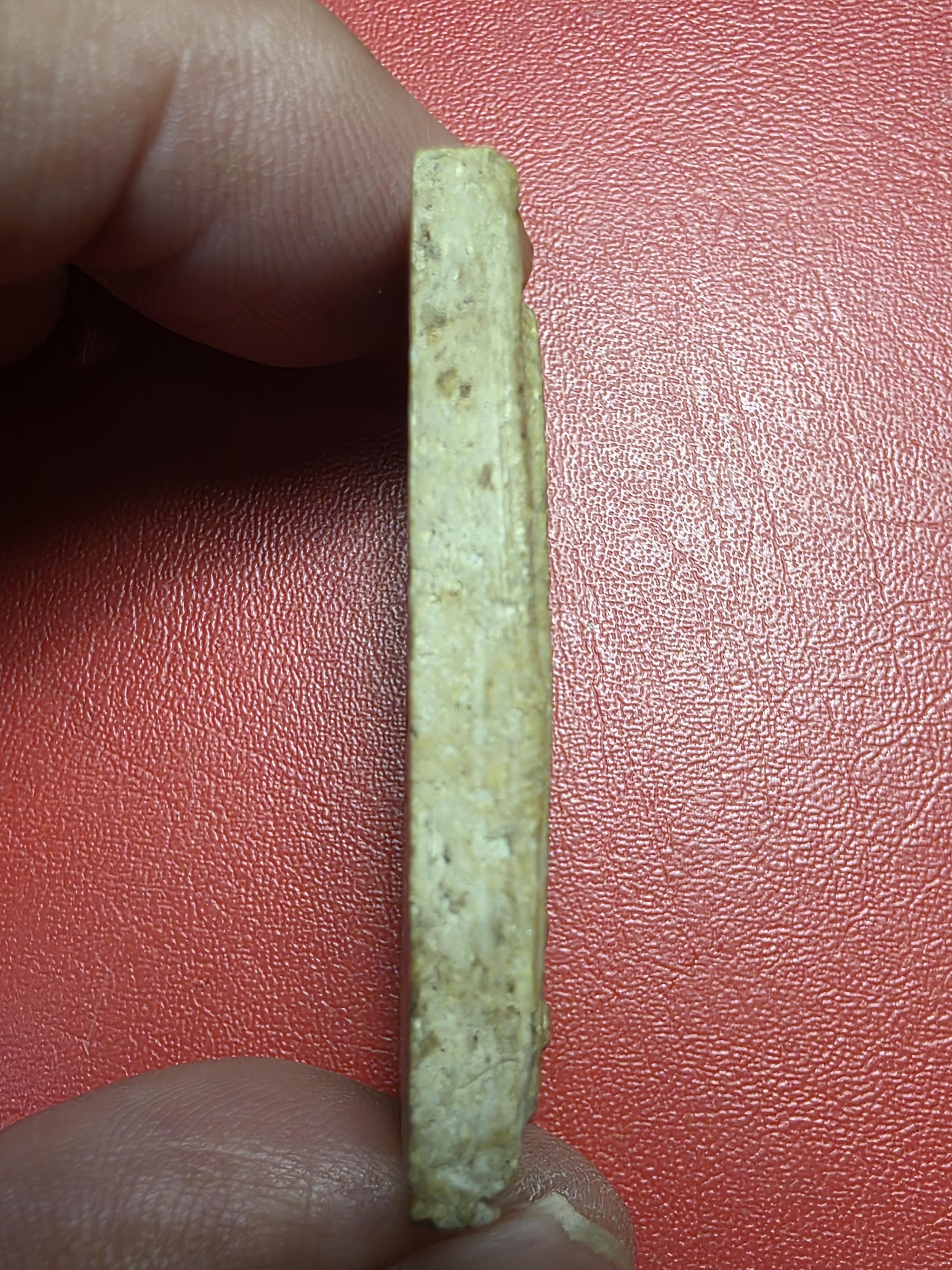 พระอาจารย์คง หลวงพ่อคง วัดโพธิ์คู่ สมเด็จ ปรกโพธิ์ หลังจิ้งจก(องค์ที่1)