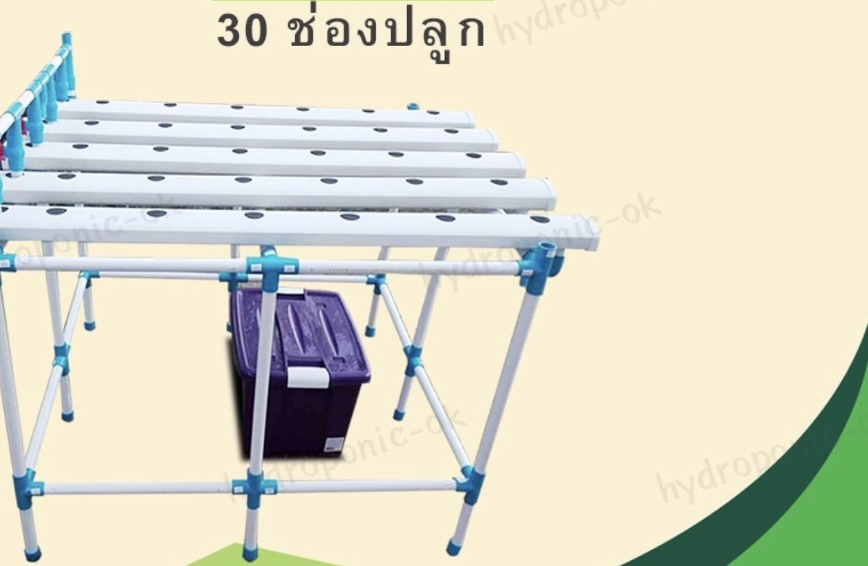 ชุดปลูกผักไฮโดรโปนิกส์ 30 ช่องปลูก