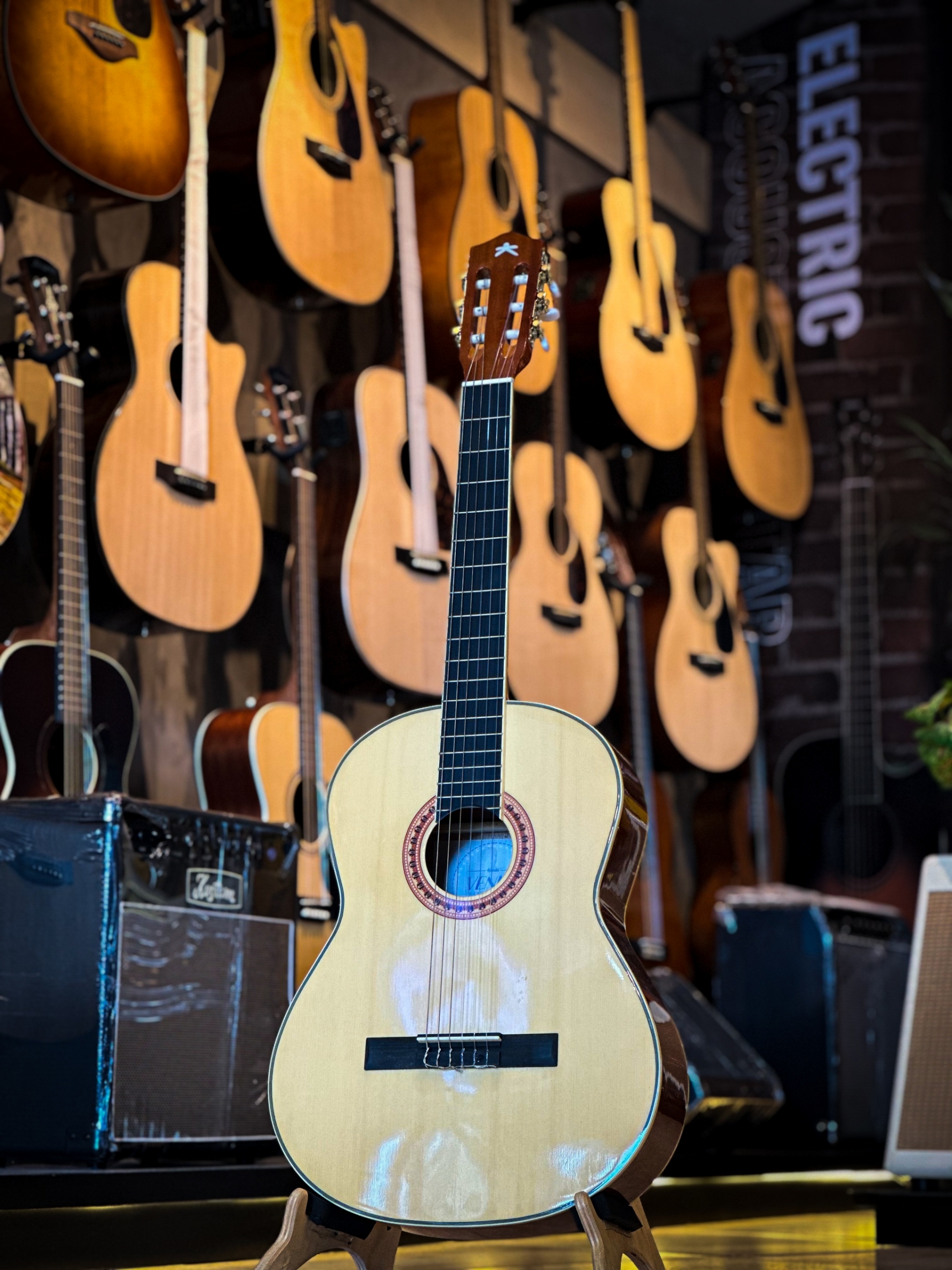 กีต้าร์คลาสสิค Vitesse ขนาด 39 นิ้ว งานไม้เคลือบเงา คลาสสิค ลูกบิดทอง รับประกันสินค้า