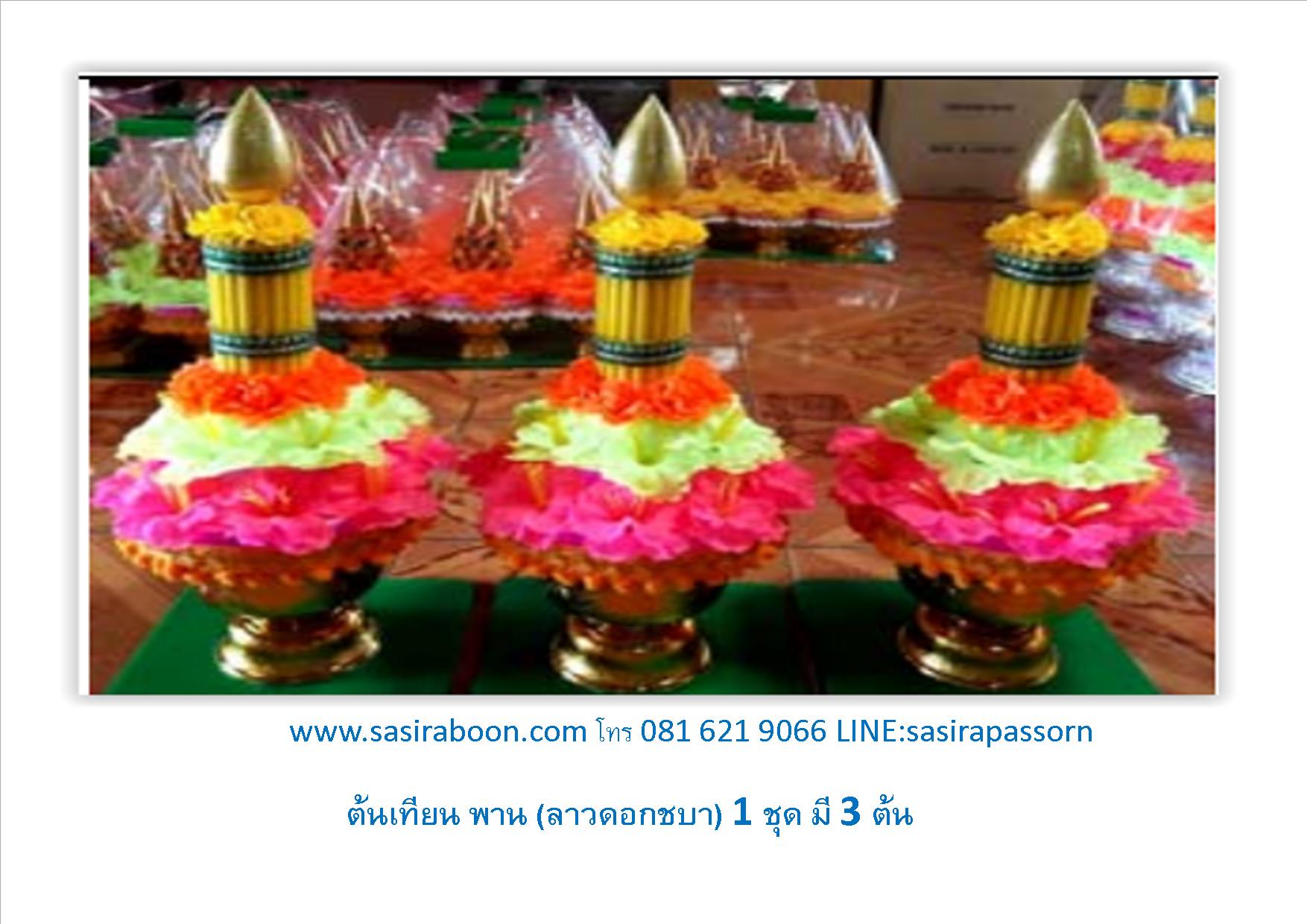 ต้นเทียน พาน (ลาวดอกชบา)