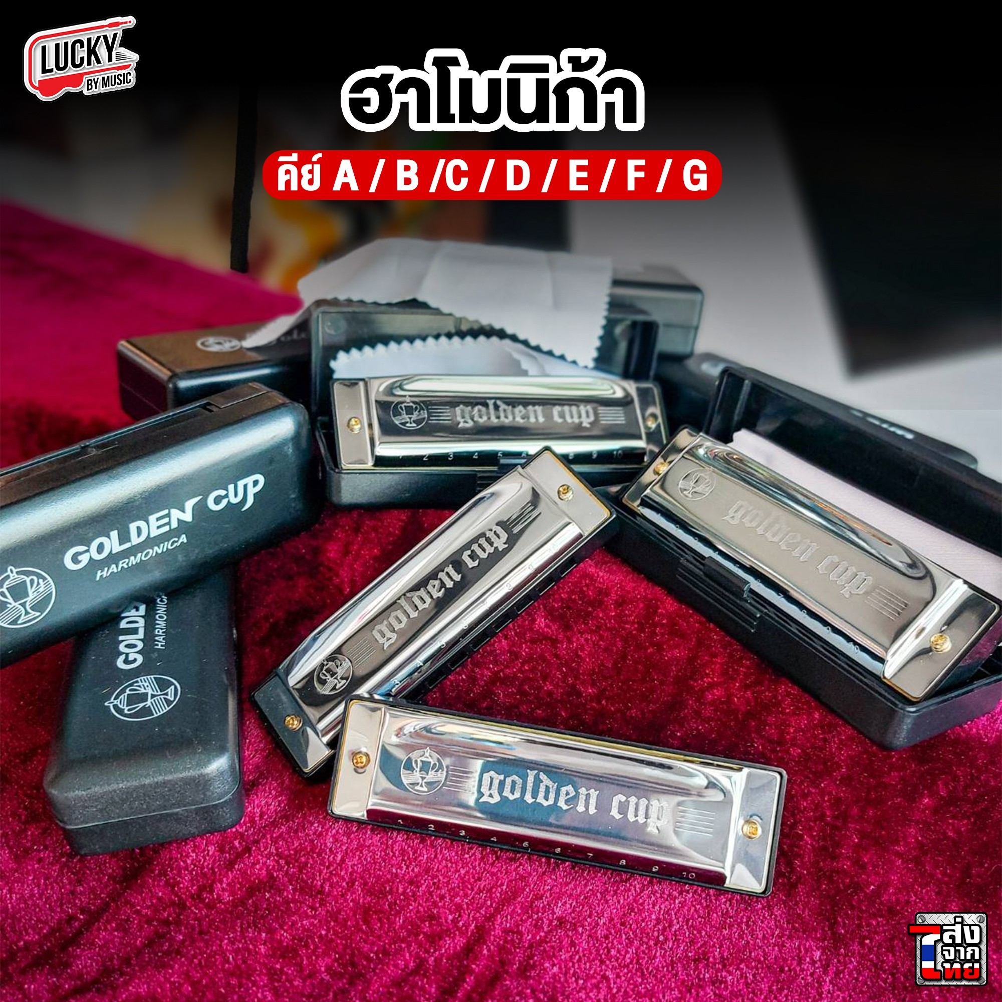 ฮาร์โมนิก้า ขาจับเมาท์ออแกน Golden Cup Harmonica จำนวน 10 ช่อง เลือกคีย์ได้ เลือกเซตได้