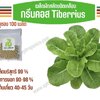 กรีนคอส TIberius เคลือบ 100 เมล็ด(Rijk Zwaan)