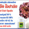 เรดโอ๊ค โอปาลิก กระปุก 500 เมล็ด
