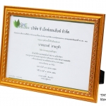 กรอบรูปราคาส่ง DB-451