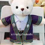 หมีรับปริญญาม.ราชภัฏบ้านสมเด็จ 45cm