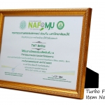 กรอบรูปใส่ใบประกาศ กรอบขนาดA4 DB264 Gold