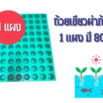 ถ้วยปลูกเขียว 1 แผง (80 ใบ)