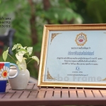 กรอบรูปใส่ใบประกาศ ขนาด A4 DB221