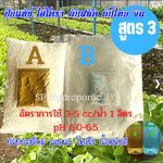ปุ๋ยแห้ง AB ผักสลัดฯ สูตร 3 ชุดคู่ 10 ลิตร+อาหารเสริม 160 ซีซี 2 ขวด