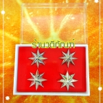 ดาวนายร้อยตำรวจ (ยศร้อยตำรวจโท/หญิง) /เงินแท้ชุบทองคำขาว