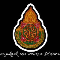 ติดตีนตุ๊กแก